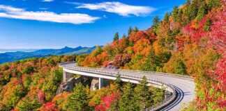 road through the fall mountains