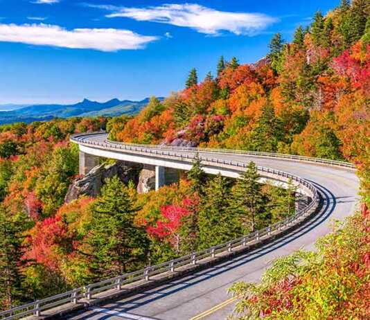 road through the fall mountains