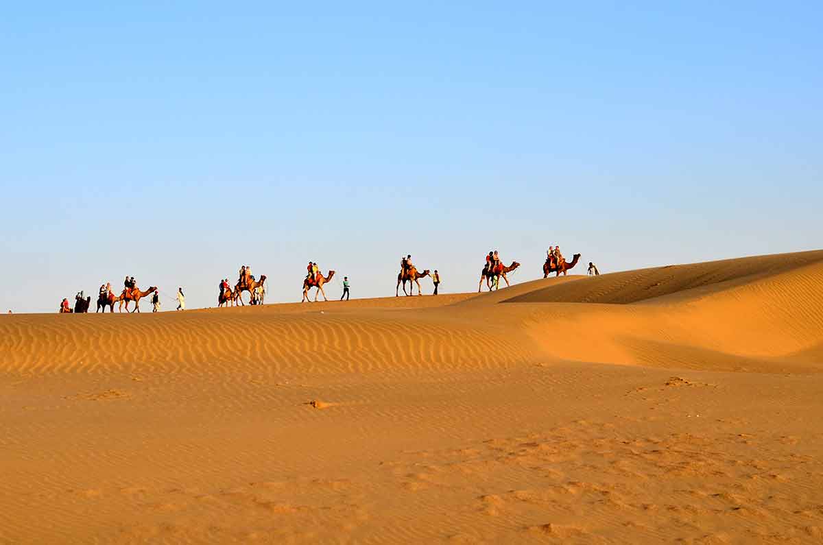 Hot deserts of the world (Thar desert camel train)