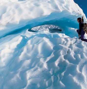 fox glacier new zealand