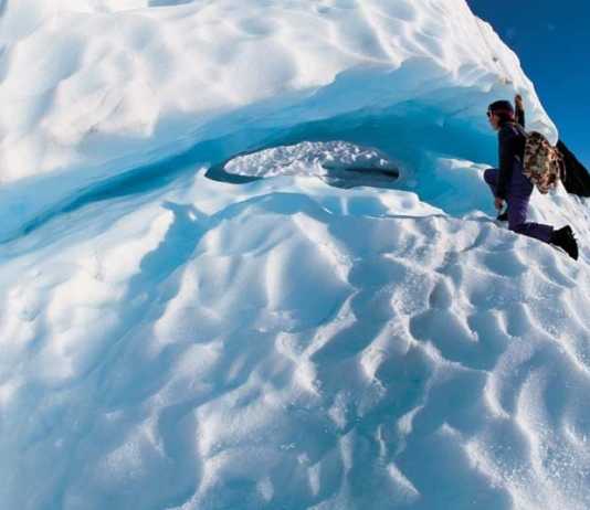 fox glacier new zealand