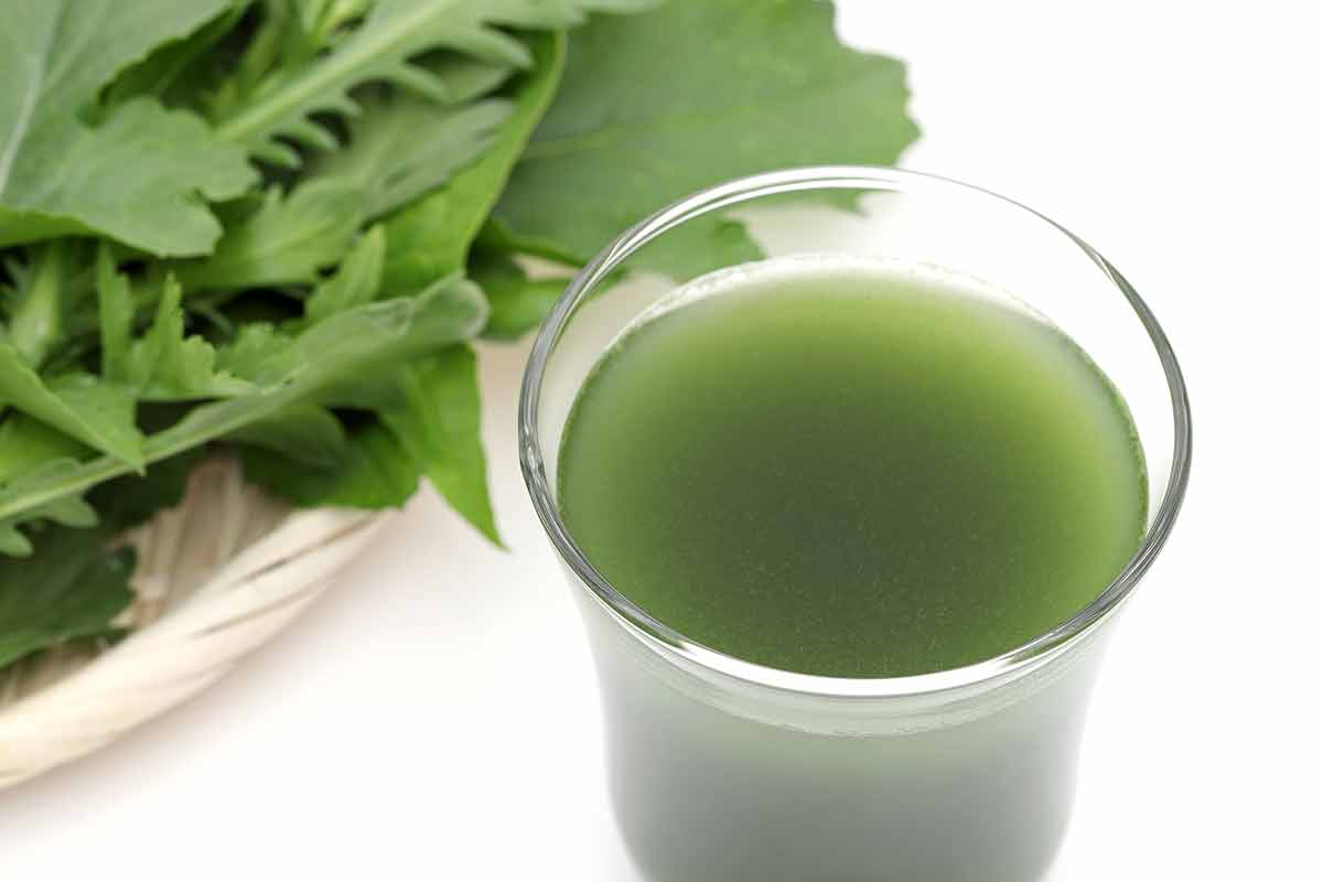 Japanese juice drinks aojiru glass of green liquid with green leafy vegetables in the background