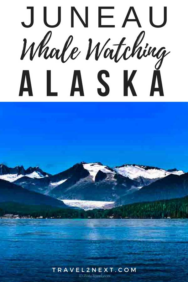 Juneau Whale Watching Cruise in Alaska
