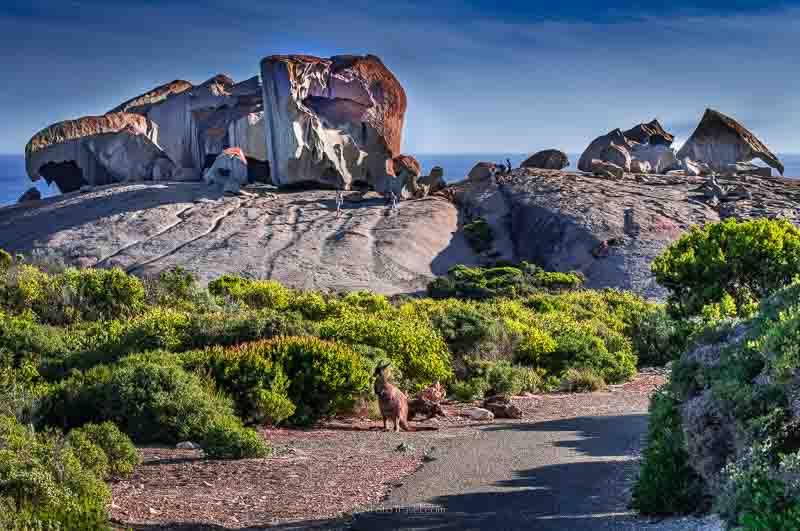 Things to do Kangaroo Island Remarkable Rocks With Kangaroo