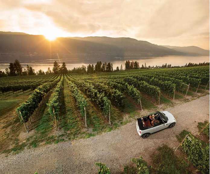 Kelowna and area wine country Arrowleaf Vineyards Kelowna and area wine country Arrowleaf Vineyards