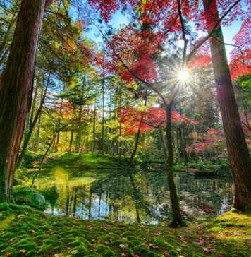 Japan’s Most Beautiful Tourist Spots In Photos pictures of japan