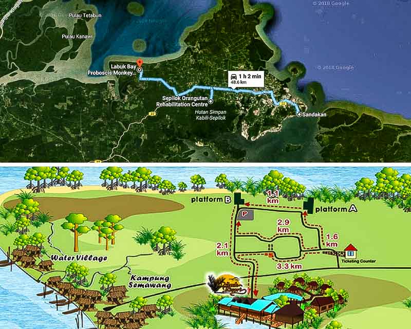 Labuk Bay Proboscis Monkey Sanctuary maps