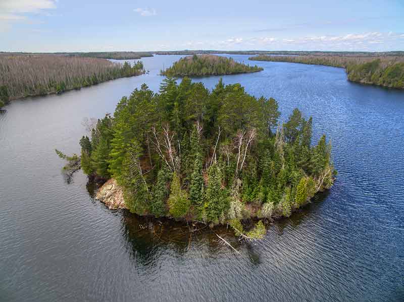 aerial view of trees on an island in Bear Head Lake