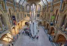 Natural History Museum In London, UK