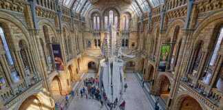 Natural History Museum In London, UK