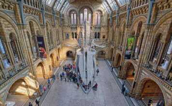 Natural History Museum In London, UK
