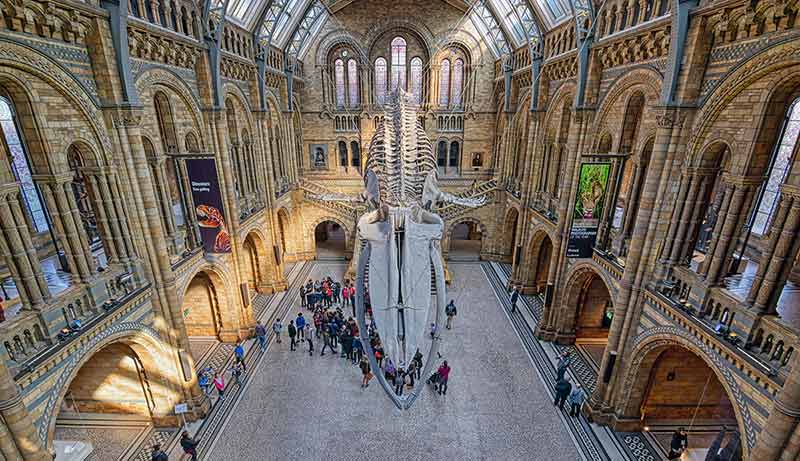 Natural History Museum In London, UK