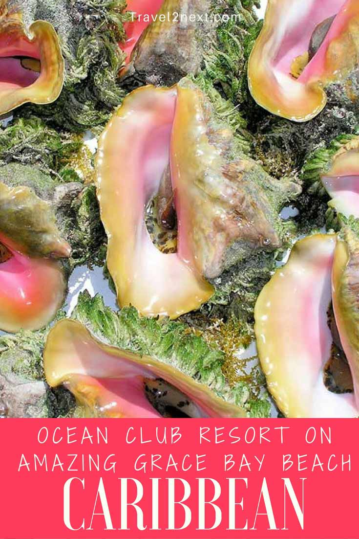 Ocean Club Resort on Amazing Grace Bay Beach