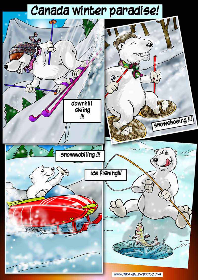 Cartoon polar bear 