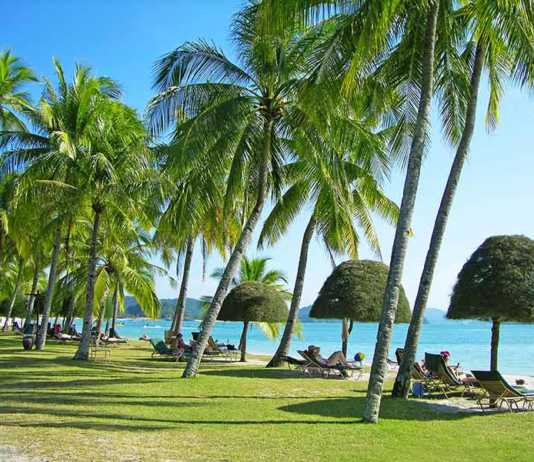 Pantai Cenang Beach Malaysia lounge chairs, green lawn, topiary trees and coconut palms