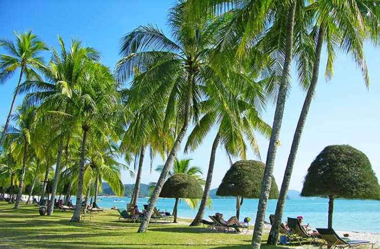 20 Overwater Bungalows In Malaysia That Feel Like Paradise Pantai Cenang Beach Malaysia lounge chairs, green lawn, topiary trees and coconut palms