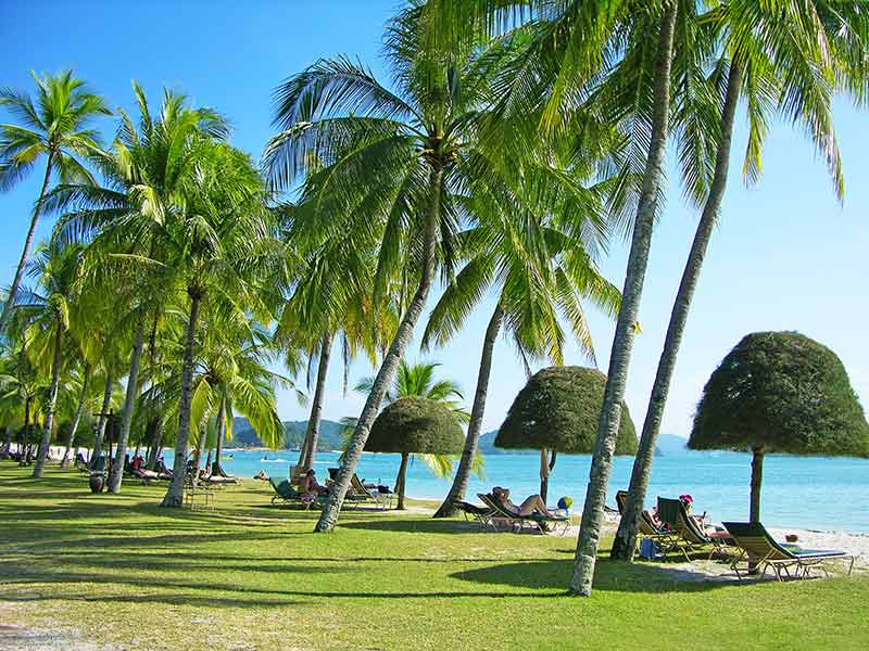 Pantai Cenang Beach Malaysia lounge chairs, green lawn, topiary trees and coconut palms