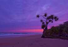 These Travel Photography Tips Will Instantly Level Up Your Photos Photographing Sunsets Tips 3