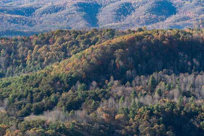 20 West Virginia State Parks To Explore In 2024   Pipestem Resort State Park West Virginia 696x465 