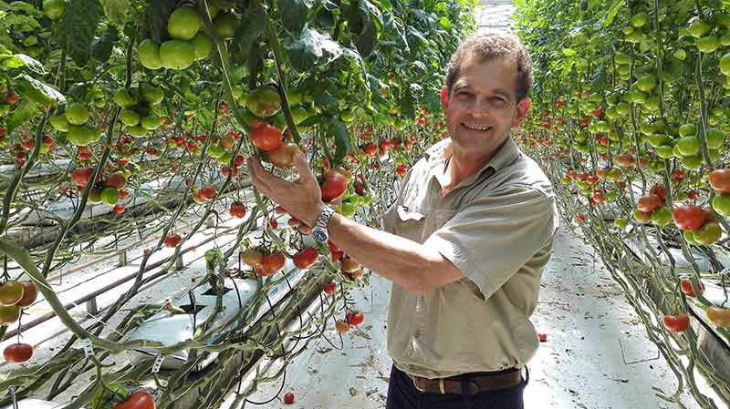 Port Macquarie Ricardoes Tomatoes and co owner Anthony Sarks (4)