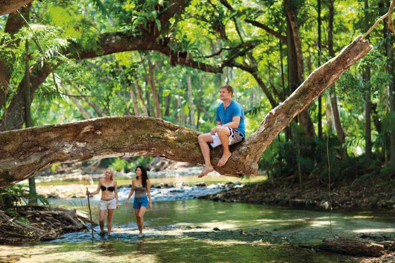 Queensland attractions - man sitting on branch in daintree rainforest