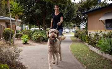 Reflections Holiday Parks Urunga dog walk