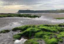 Scarborough North Bay Beach