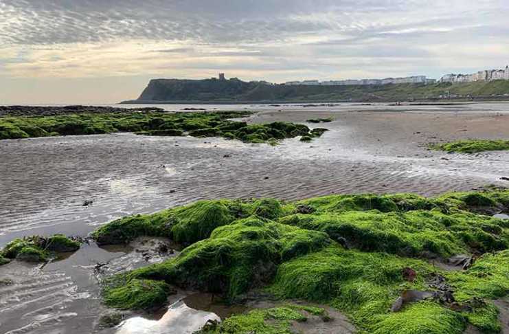 Scarborough North Bay Beach