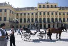 Things to do in Vienna Austria