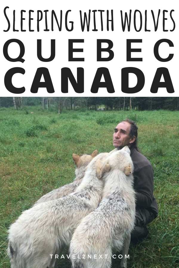 Sleeping With Wolves in Quebec