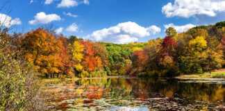 autumn colours around a lake at Southford Falls State Park Connecticut