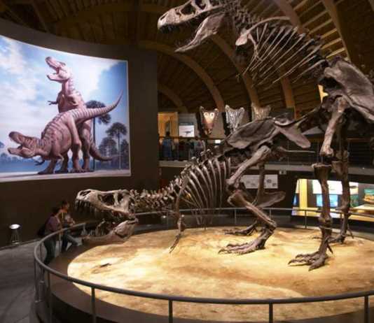 spain tourist attractions