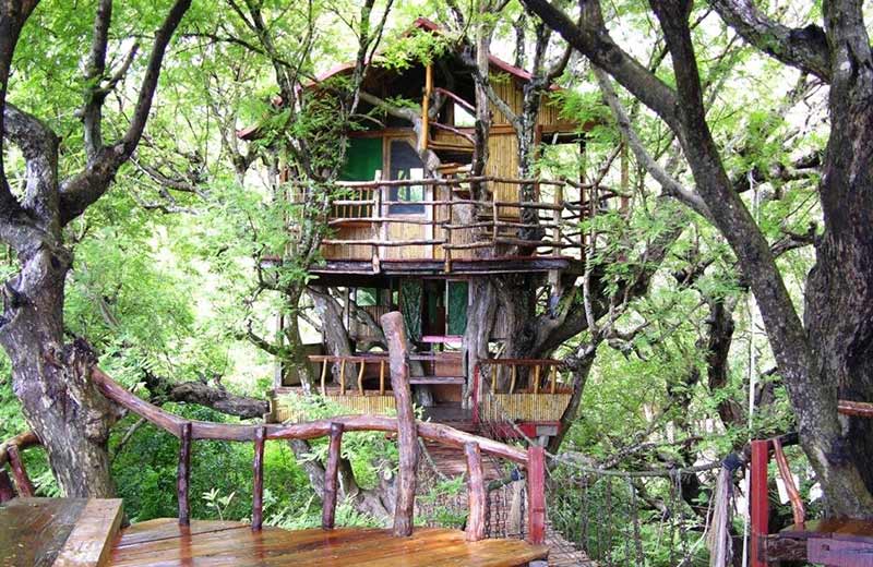 Stay in a treehouse