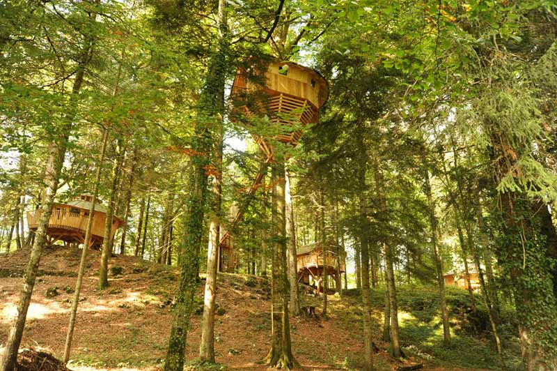 Stay in a treehouse