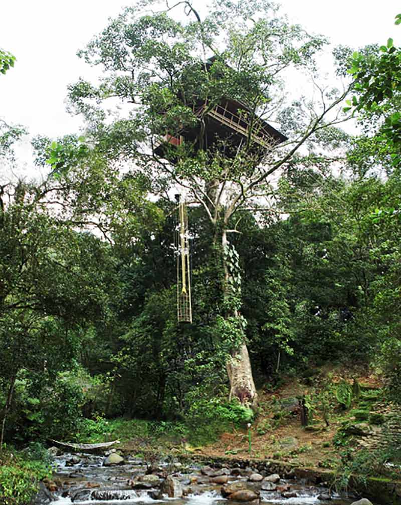 treehouses to stay in 