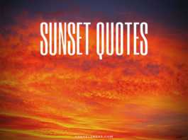 Sunset quotes