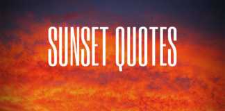 Sunset quotes
