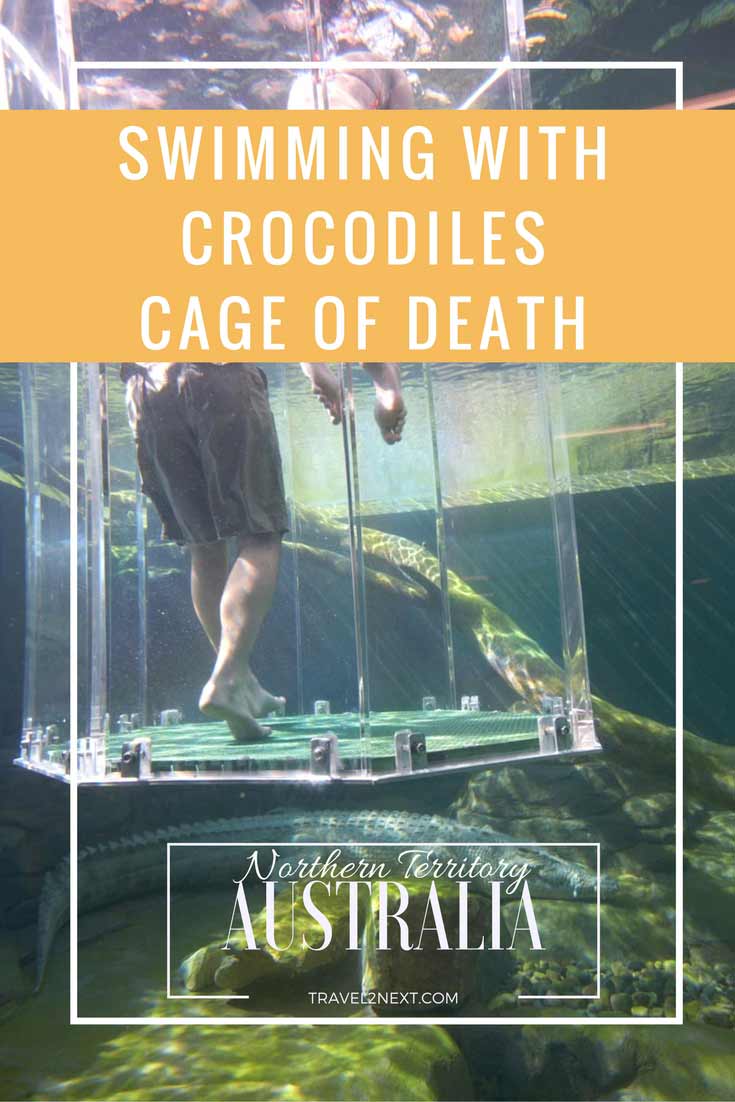 Swimming with crocodiles