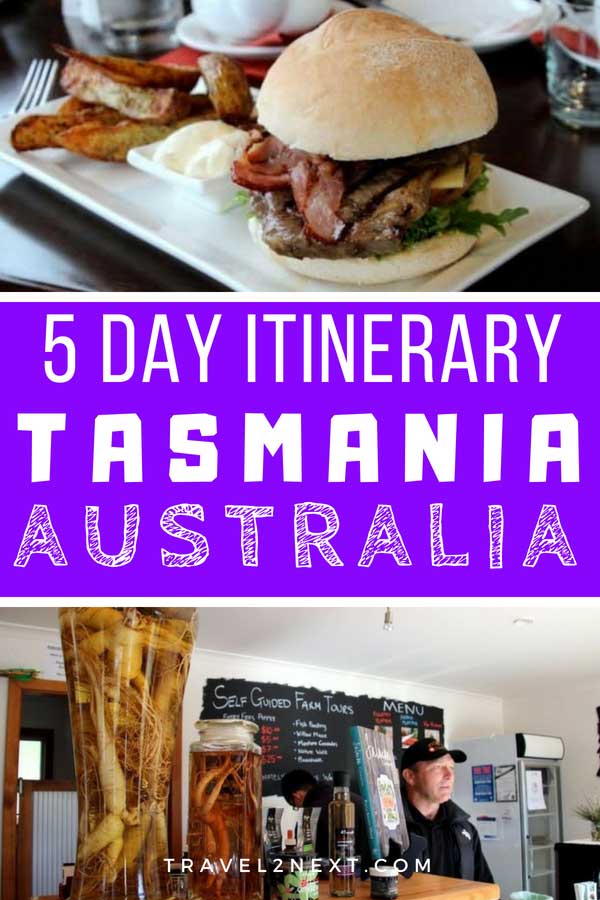 Tasmania Itinerary 5 Days – Tasting Trail