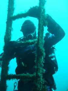 Diving in Tasmania (Photos and Video) + Tips on Best Tasmania Dive spots