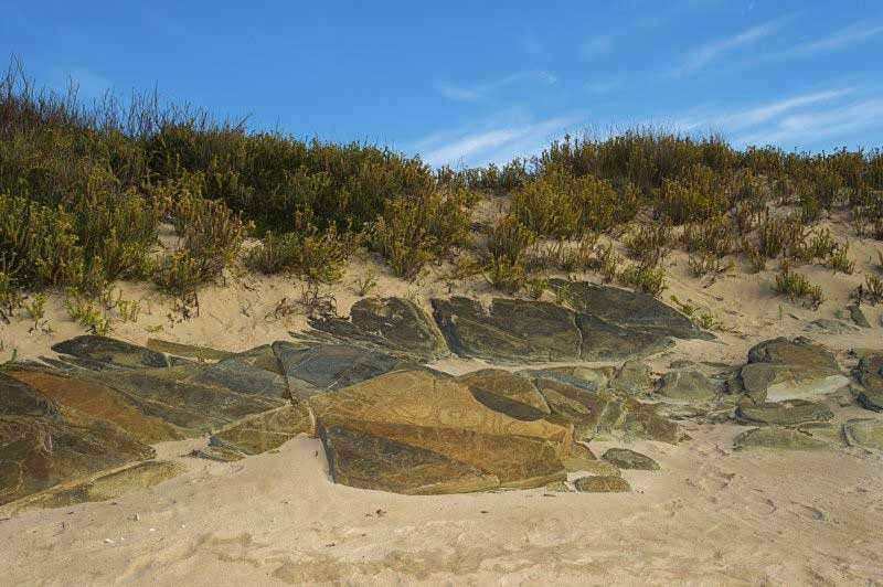 Tasmania West Coast Rockart