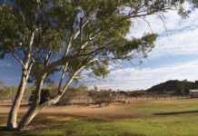 10 Amazing Things To Do In Alice Springs That Will Surprise You Classic Alice Springs