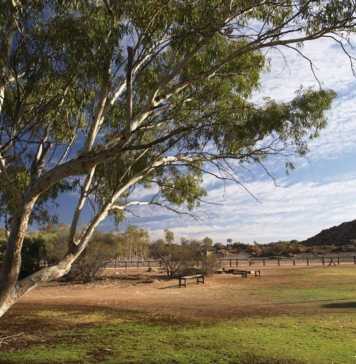 10 Amazing Things To Do In Alice Springs That Will Surprise You Classic Alice Springs