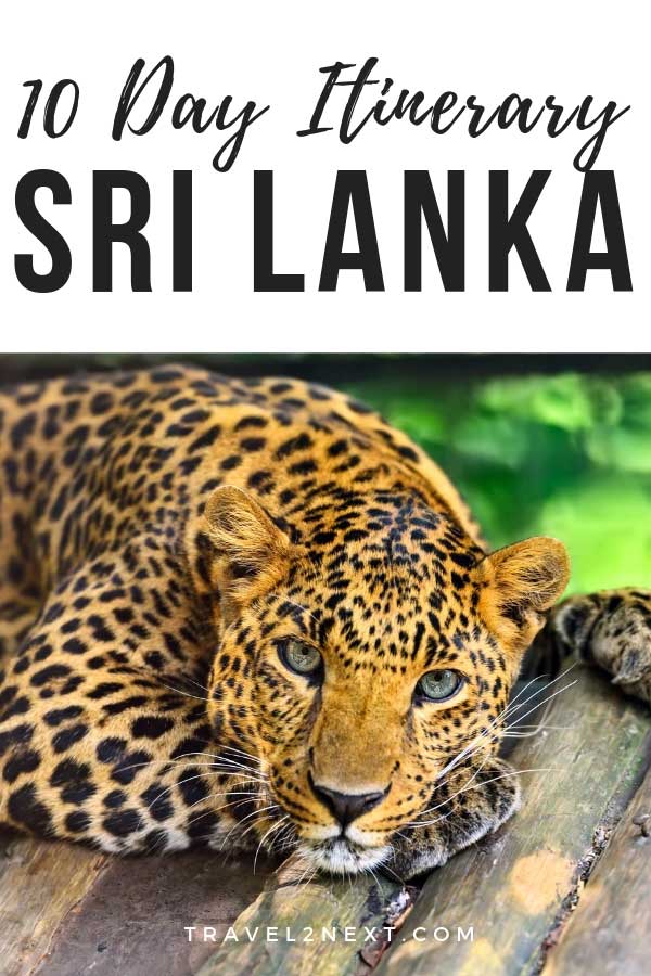The Perfect Sri Lanka Itinerary
