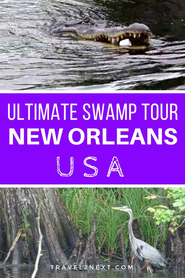 The Ultimate Swamp Tour in New Orleans