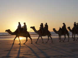 Things to do in Broome 2