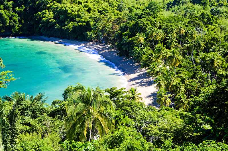 Tobago beaches englishmans bay