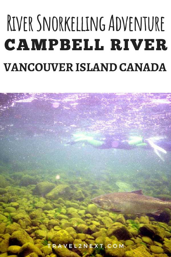 Vancouver Island River Snorkelling 