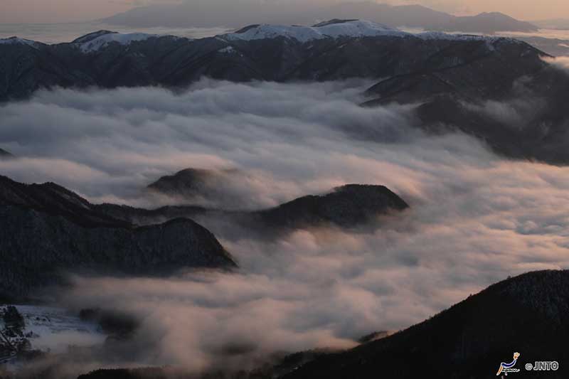 Utsukushigahara Highland shrouded in mist