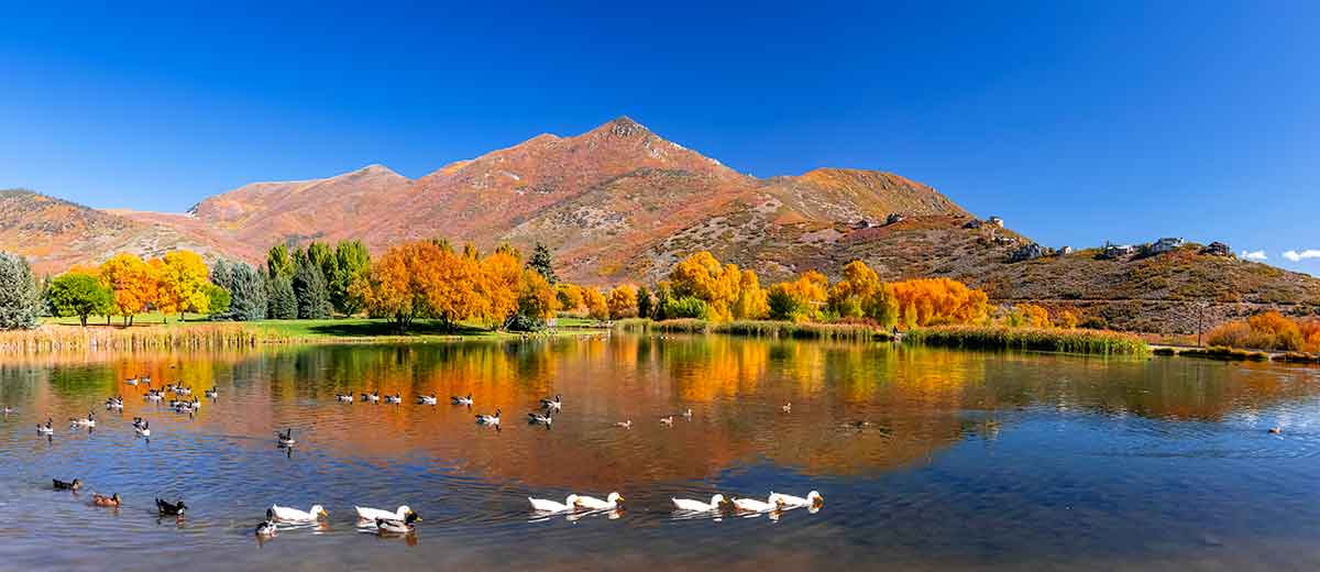 Half Day Driven Tour from Salt Lake to Wasatch Mountain Range